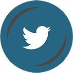 Twitter TLEEC icon